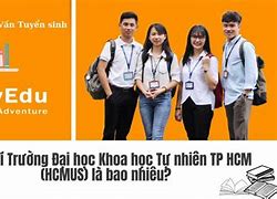 Học Bổng Ctdb Hcmus Là Bao Nhiêu Tiền 1 Tín Chỉ