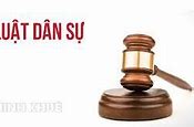 Ngành Luật Dân Sự Điều Chỉnh